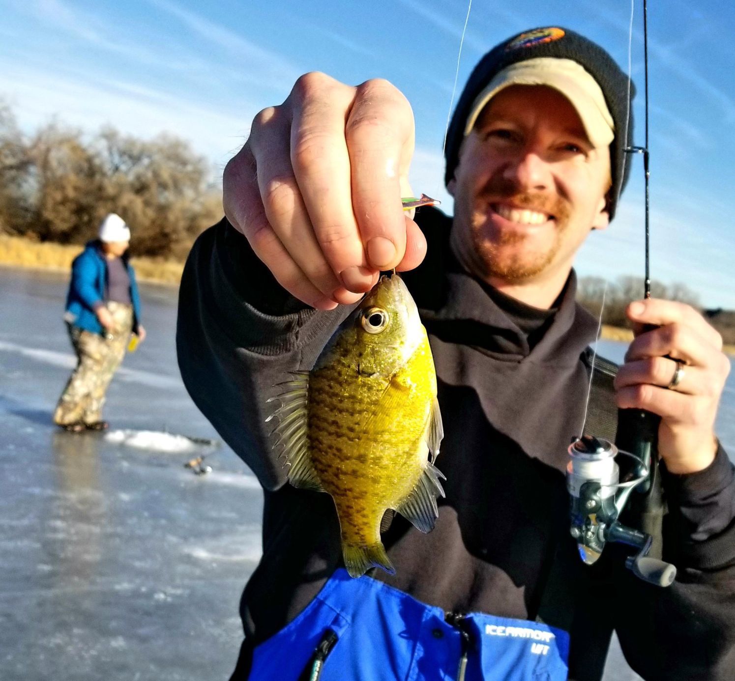 Bluegill in winter